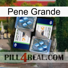 Big Penis viagra5